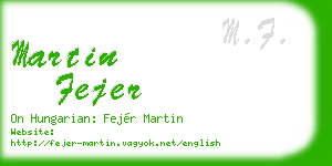 martin fejer business card